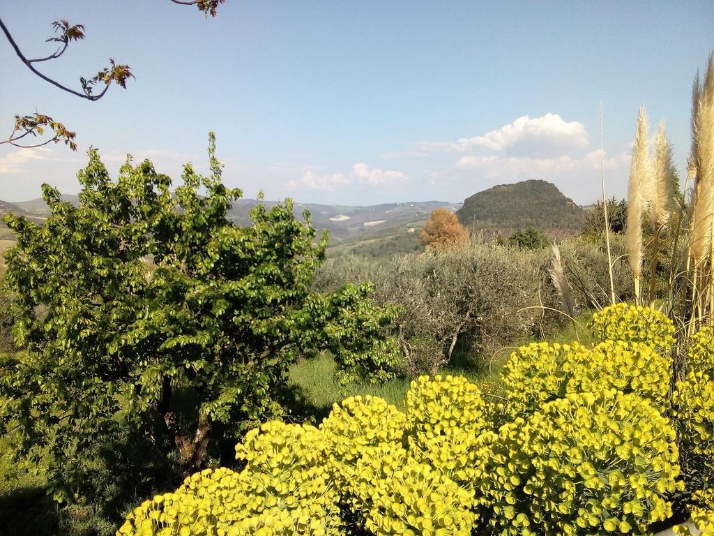 Villa Il Palazzino Volterra Extérieur photo